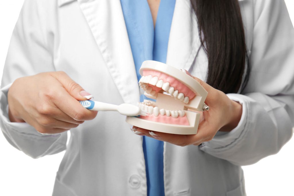Dentist demonstrating a Teeth cleaning in coral gables 